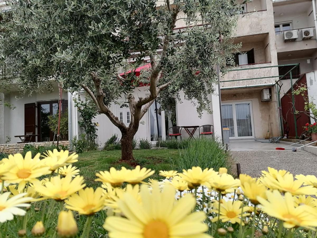 Leona Apartment Vidikovac, Pula Luaran gambar